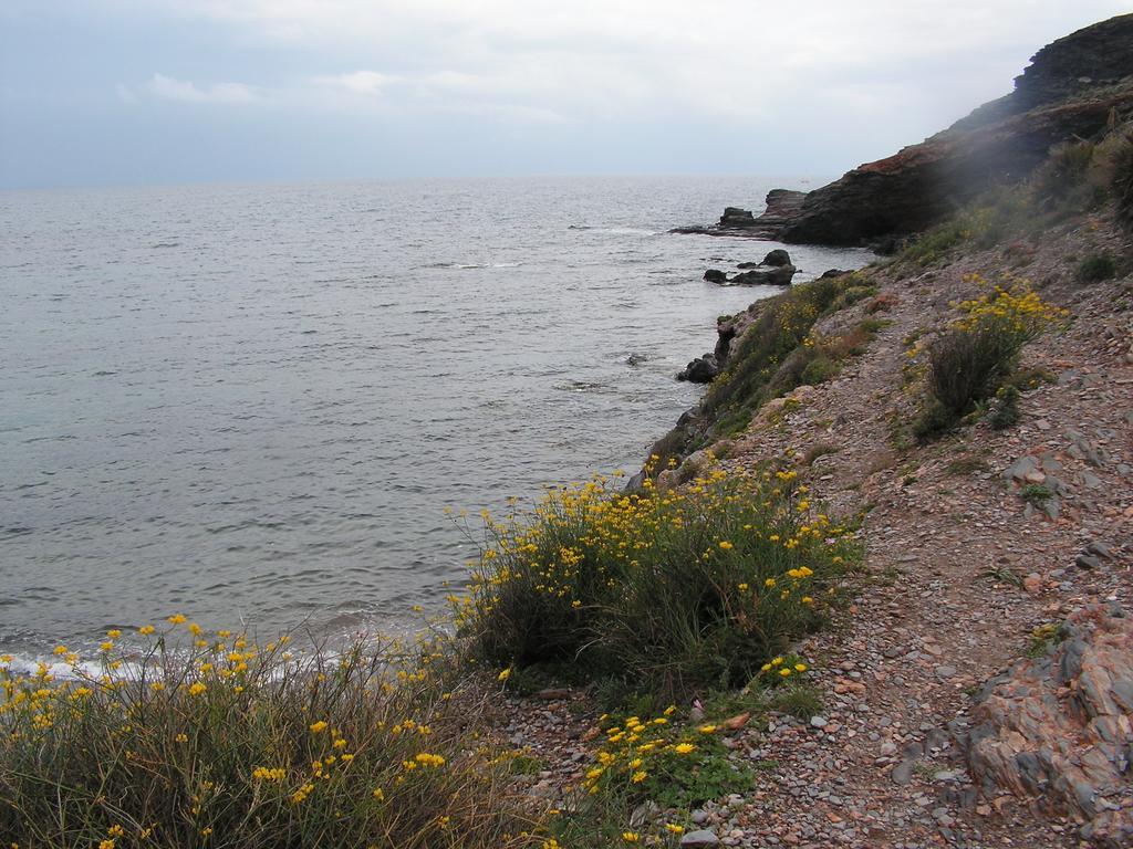 Apartamento Cala Reona Lägenhet Cabo de Palos Exteriör bild